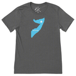 Gray t-shirt with a blue graphic and 'did work' text on a white background for military veterans of somalia.